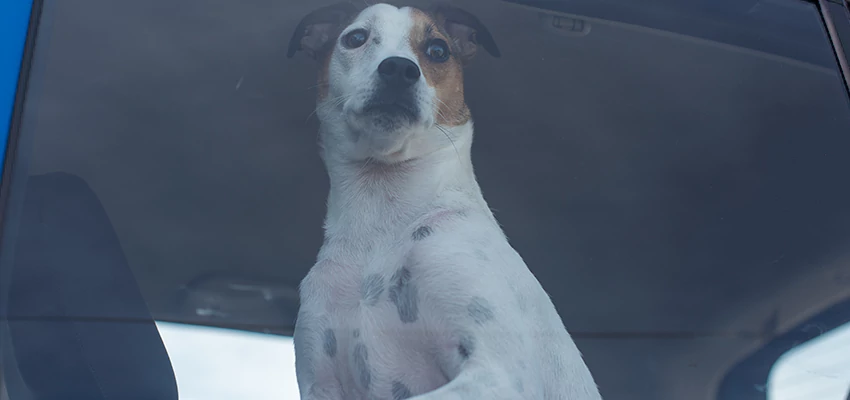 Car Lockout Solutions in Windsor, California